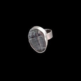 ring_trilobite_size_9_front